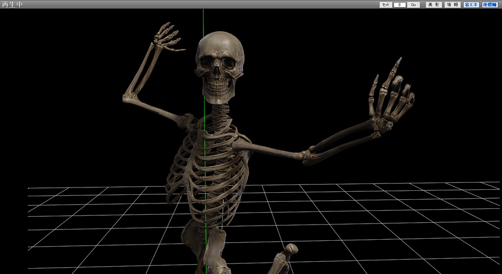 リアル骸骨モデル