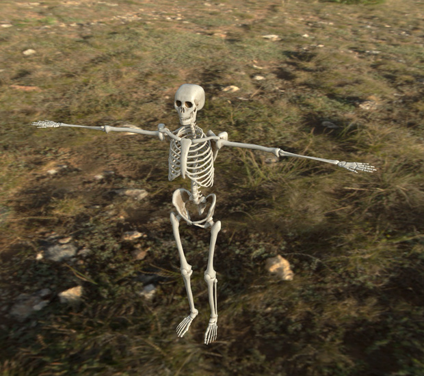 スケルトン・アバター・セット