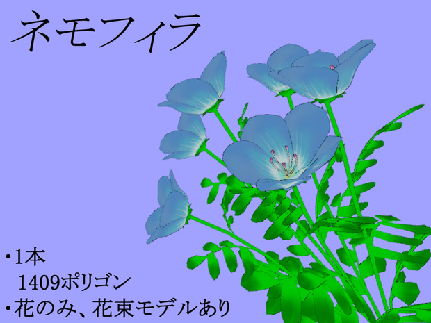 ネモフィラ