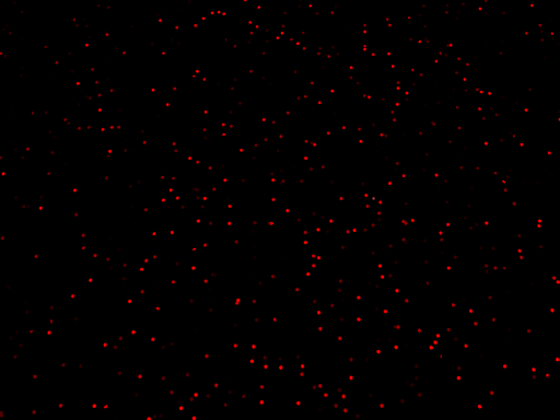 Ammonite's Clone Archives