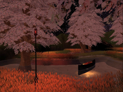 夜空の下に桜咲く