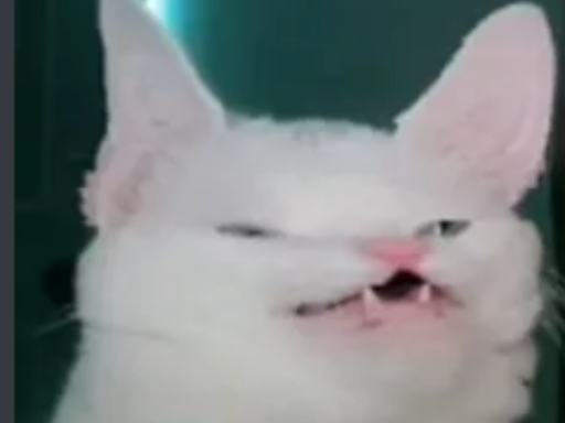 WeswesO avatar worldǃ