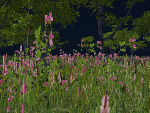 La fôret enchantée