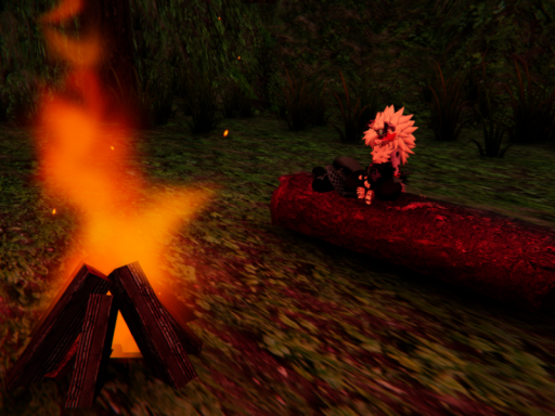 One Night Camp （The Last of Us）