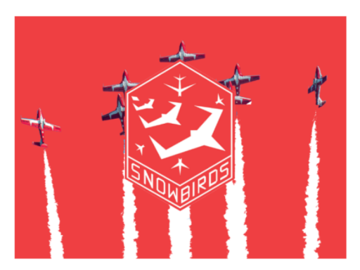 ｜｜ Vrchat Snowbirds Demonstration Team World ｜｜