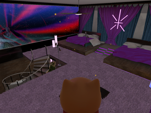 Ferret's Mid-Day Lasagna