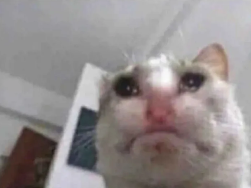 Please Don't Enter This World