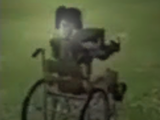 Wheelchair Sam