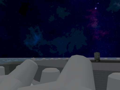 沖ノ鳥島に埋めてほしい