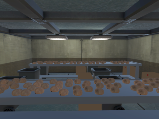 ジャガイモ選別