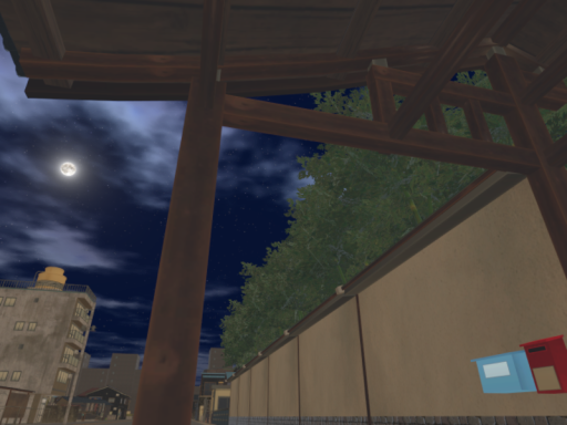 Ryukarasu Outside Night Time