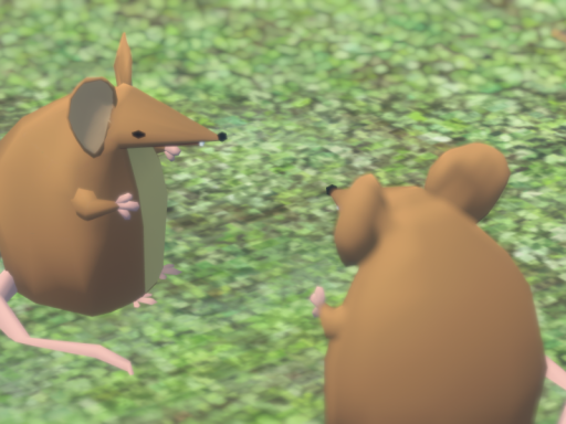 ［CN］ 光影社 v2․0