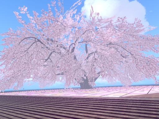 お花見広場 -Hanami Park-