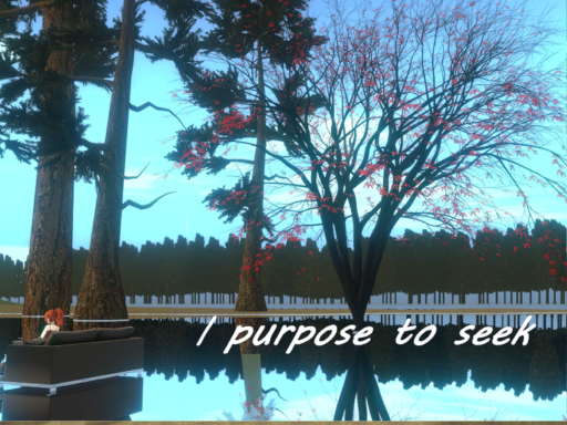 I purpose to seek