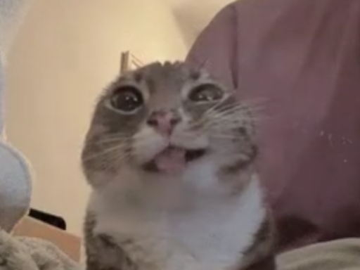 GogetaZ's Avatar World