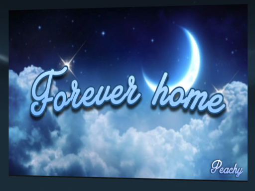 Forever Home