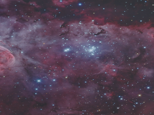 Argo's Selfie Gallery