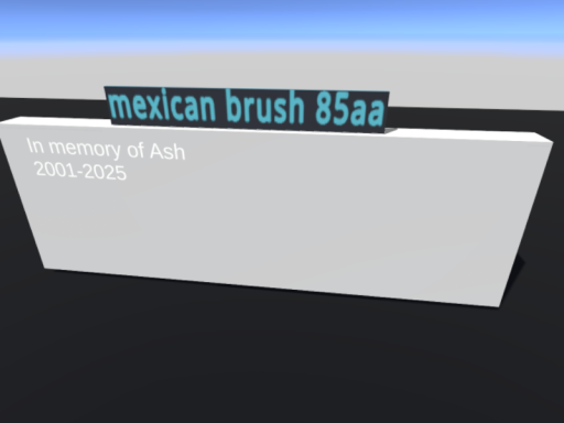 mexican brush 85aa's Funeral world