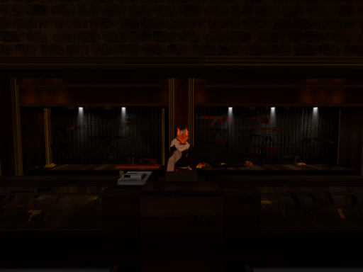 Senku Customs Shooting range and asset tester