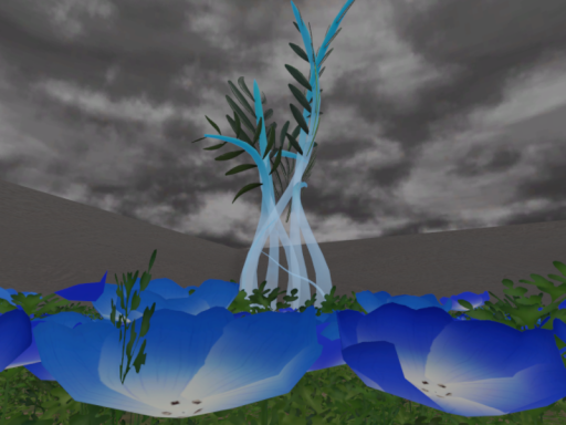 せんぱいルーム