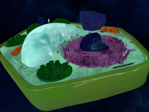Plant Cell