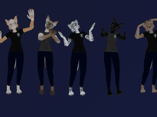 Zade's Signing Avatar World