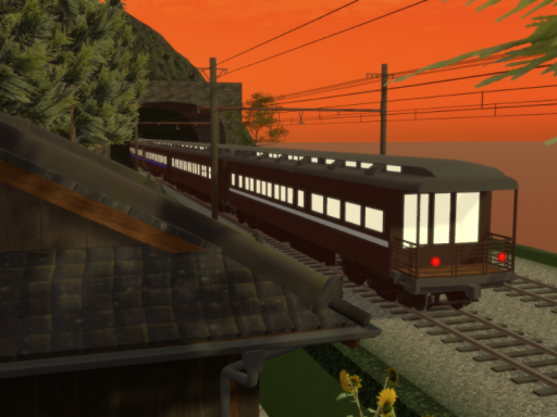 ヒグラシと特急