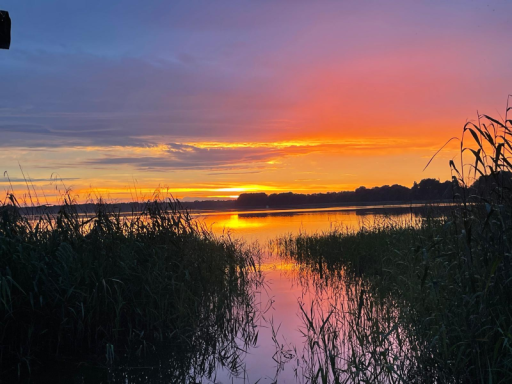 Whithe Inversion Home