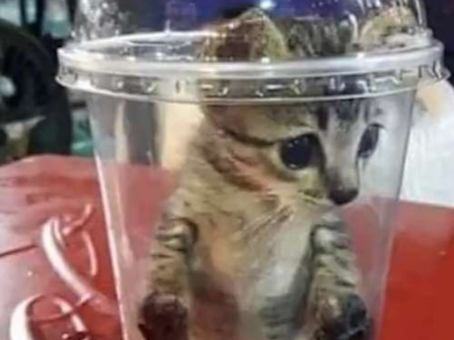 GhostTy33s Avatar world v2