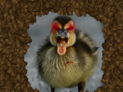 Quack‚ Gimme Bread