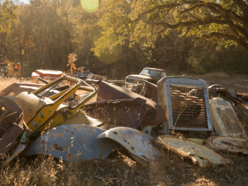 Another Avatar World