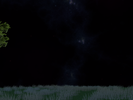 s k y w a t c h i n g