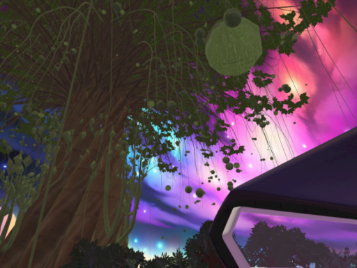 Yggdrasill Observation Bay