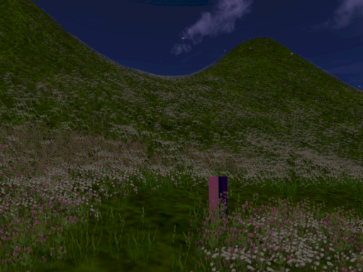 Sleepy's Flower Field