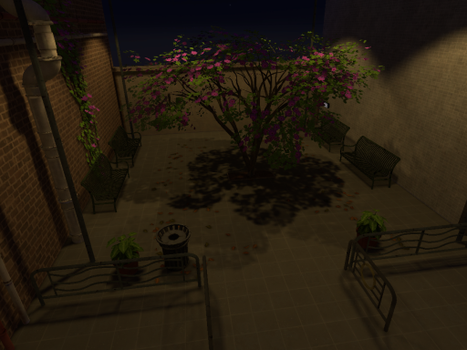 Japan Inspired Hangout