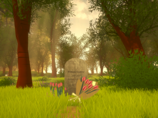 Sonder˸ Virtual Memorial