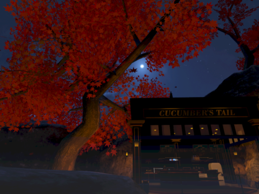 HotSpringsInAutumn【紅葉舞う秘湯】