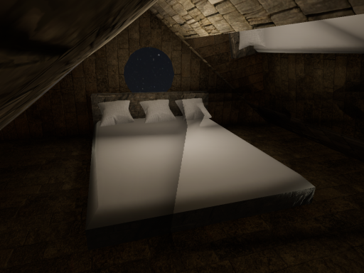 Nobody is Perfect Hangout