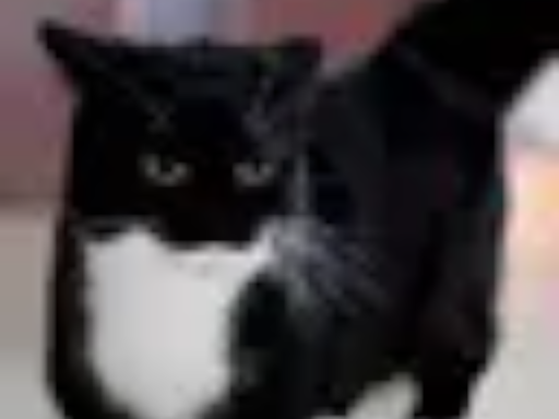 Lycan's Public Avatars