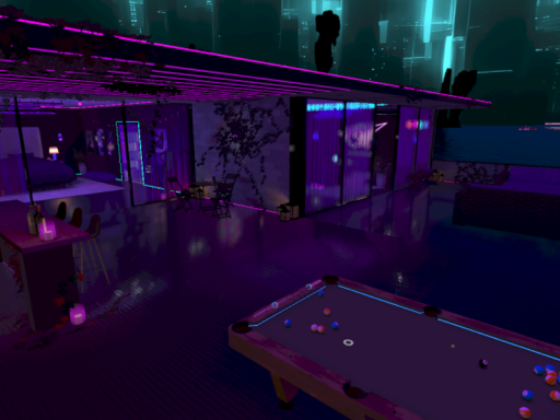 Squirrels Ocean Nights