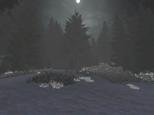 Night Forest With Rain