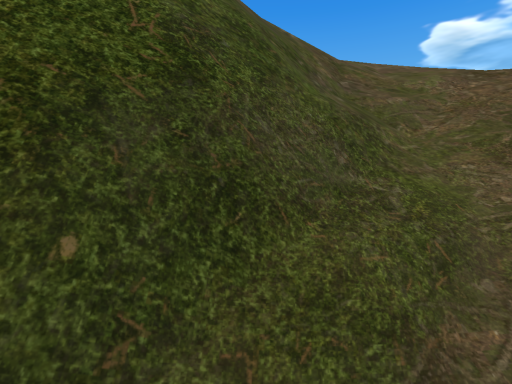 D＄ tree house bliky