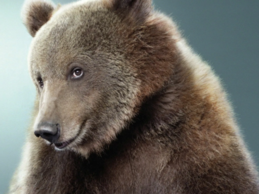 Krdzex's Avatar World （world files corrupted）