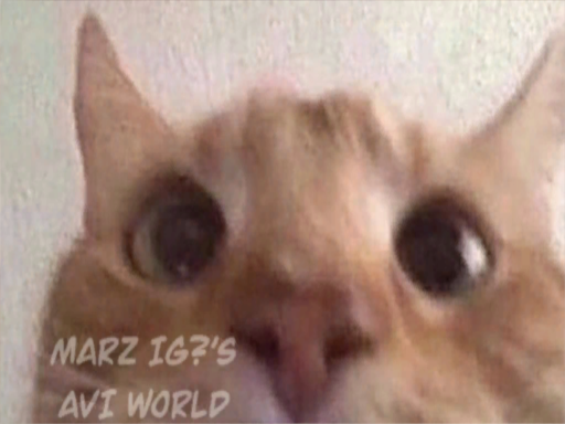Marz's avi world