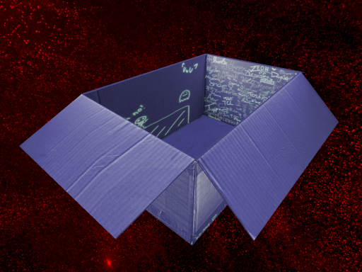 Noe's Cute Cardboard Box