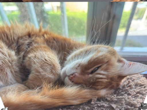 MyROOMフォトグラメトリ