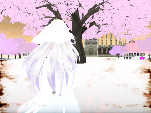 MX Muisce婚礼进行中（持续更新）