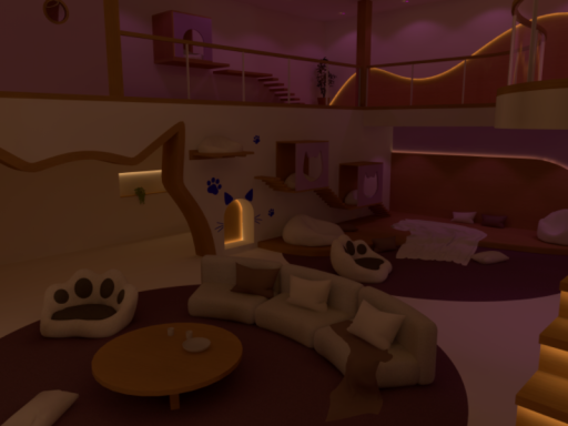 The Cat House （Night）