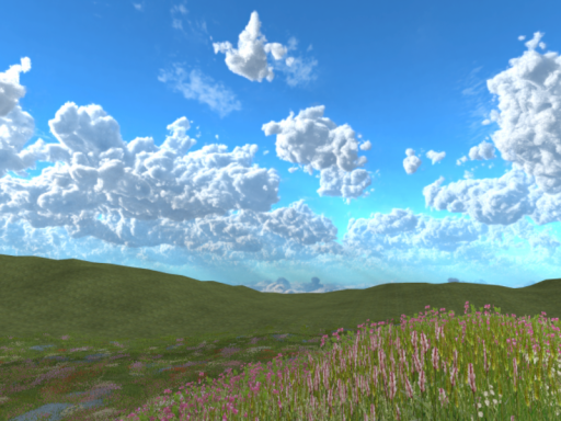 Flower Filled Feilds