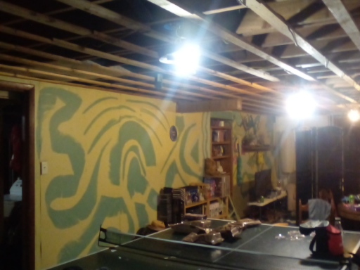 Surprised Ducks Room